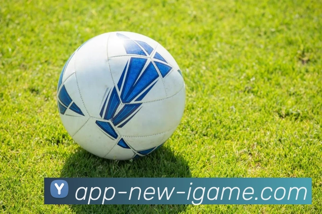 进口健身器材批发渠道:如何采购优质进口设备